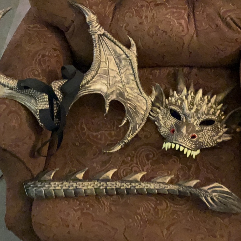 Cosplay quality dragon mask, wings with elastic armbands, and a tail